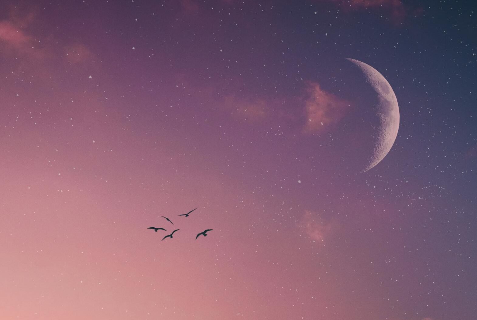 la Tierra y sus elementos como guía