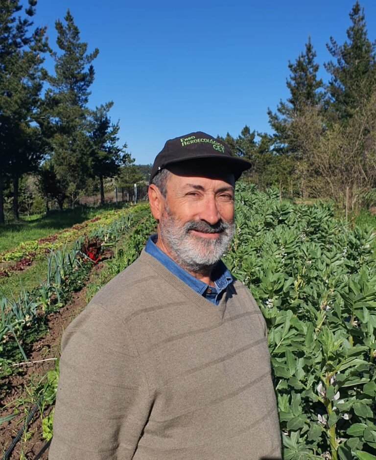 De la Teoría a la Tierra: Creando un Faro Agroecológico en tu Escuela