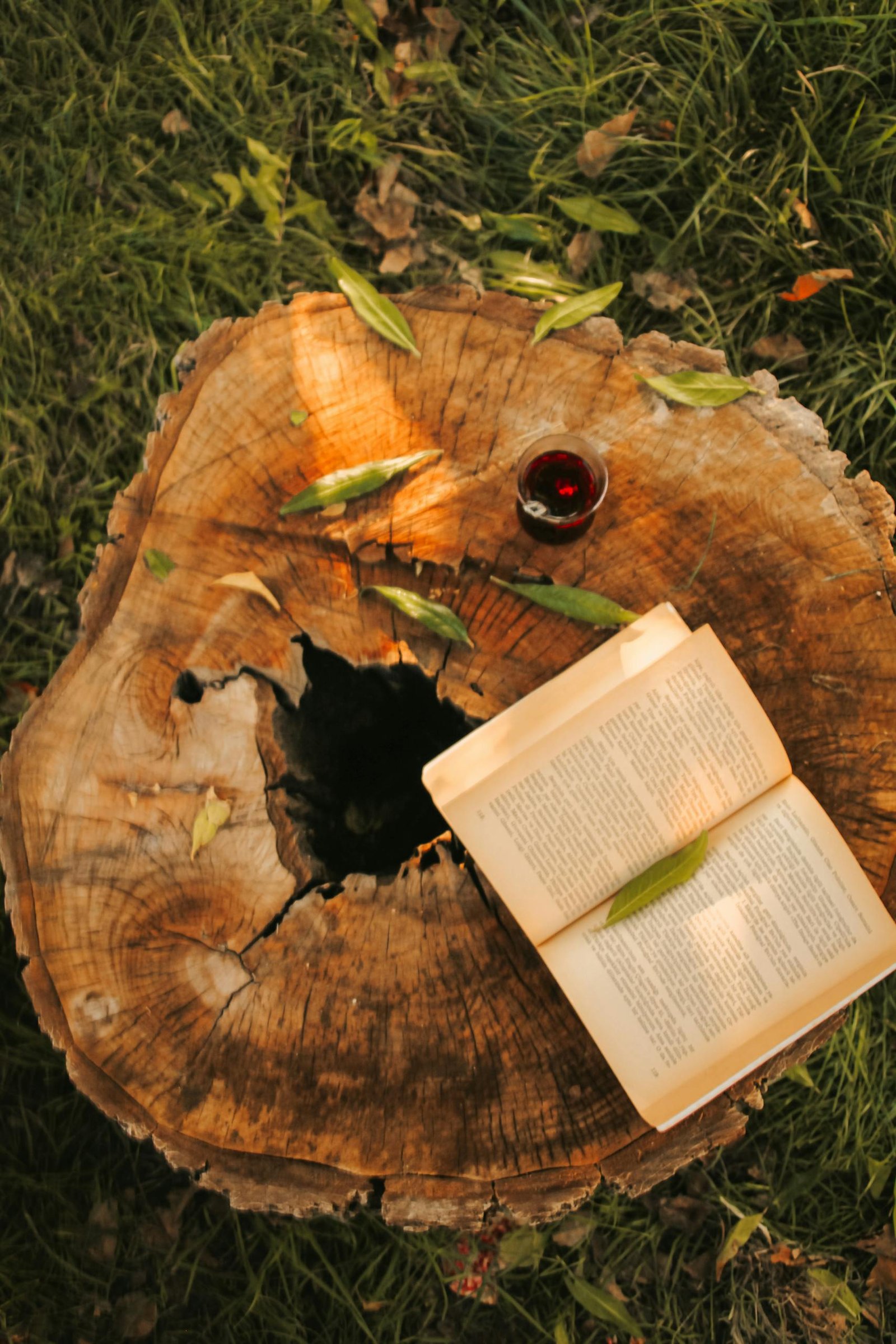 Open book and glass of tea on a tree stump with fallen leaves, creating a warm autumn atmosphere.